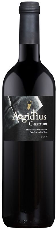 Castrum